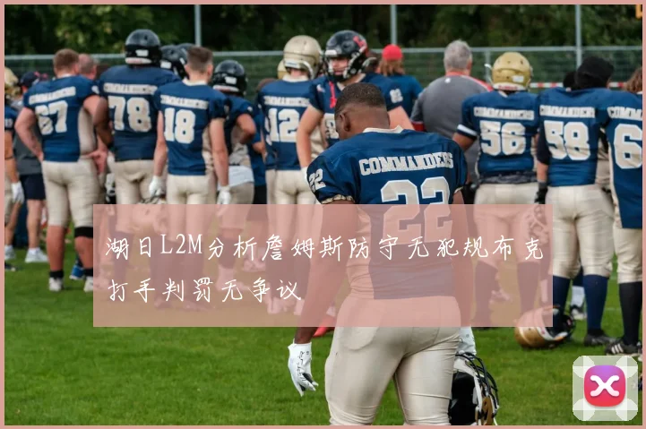 湖日L2M分析詹姆斯防守无犯规布克打手判罚无争议