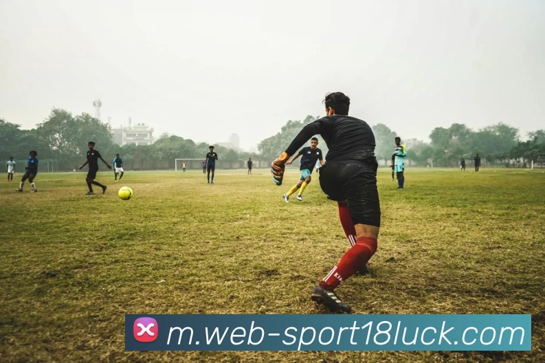 18新利体育发展历程