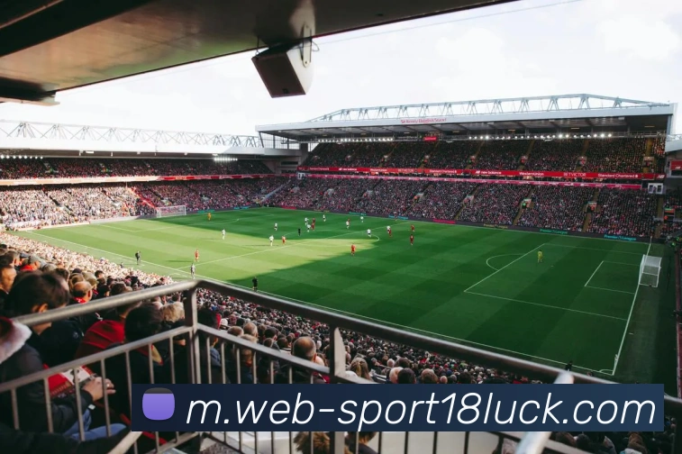 卢尼称将助奎因适应NBA强度赞其为天赋极高的球员